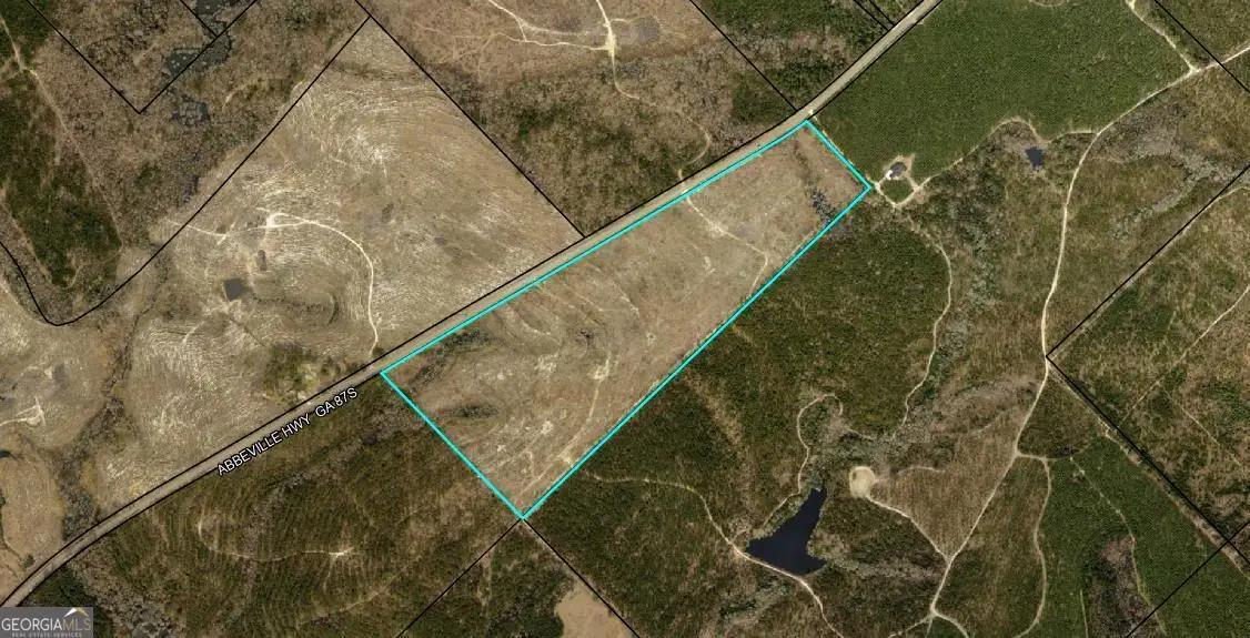 0 Abbeville Highway, Eastman, GA 31023 - #1