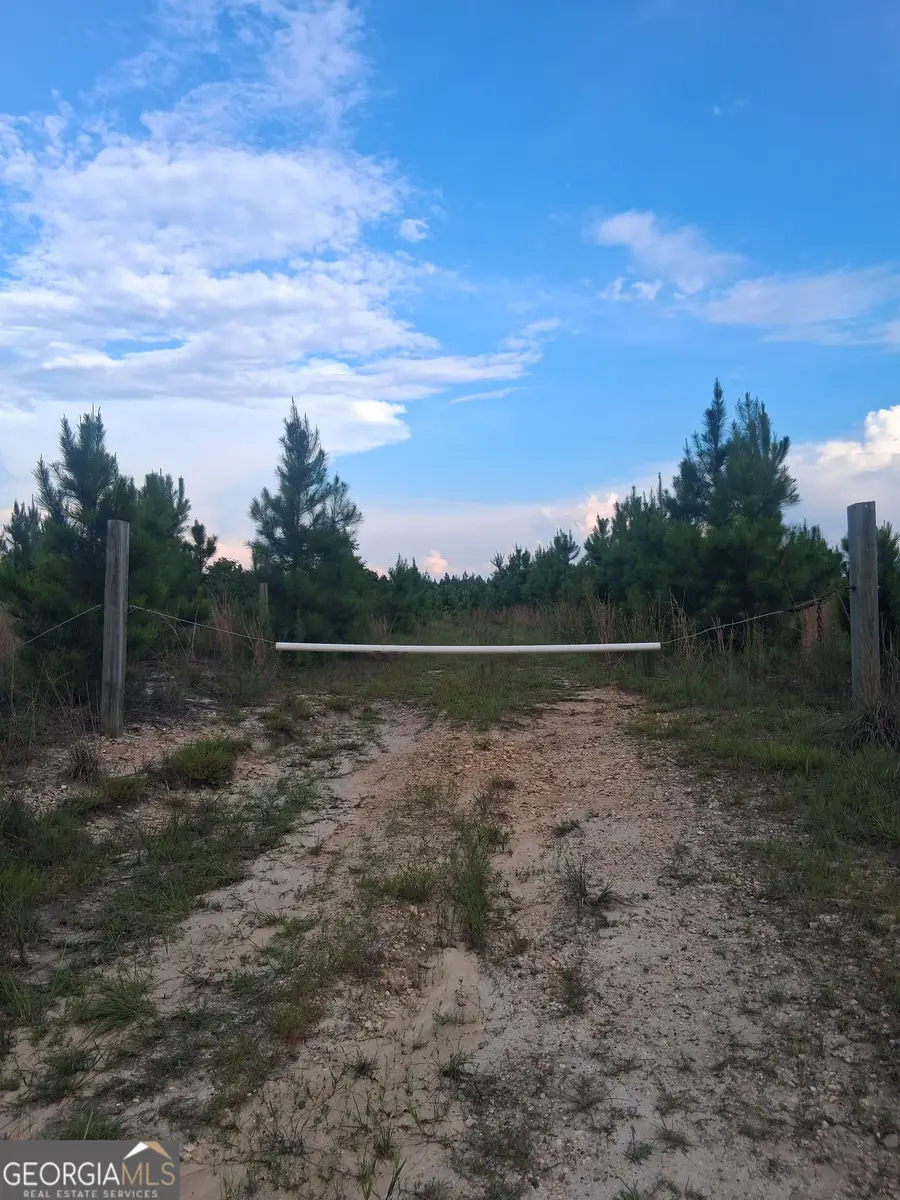 0 Abbeville Highway, Eastman, GA 31023 - #2