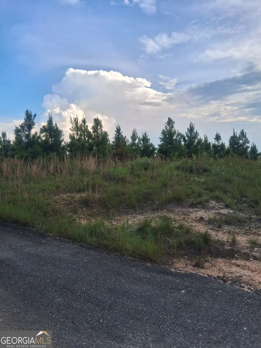 0 Abbeville Highway, Eastman, GA 31023 - #3