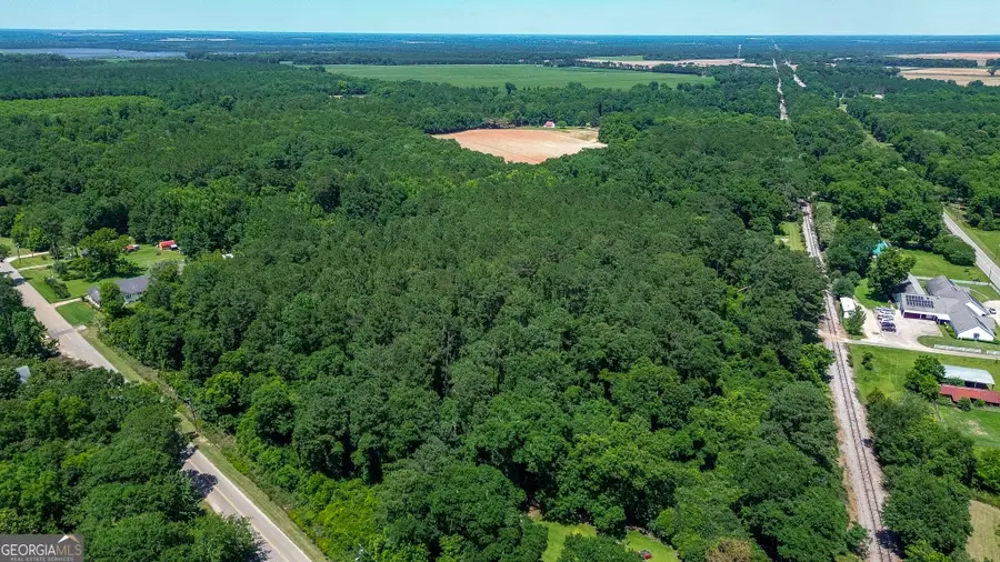 0 Johnson North Street, Bronwood, GA 39826 - #3