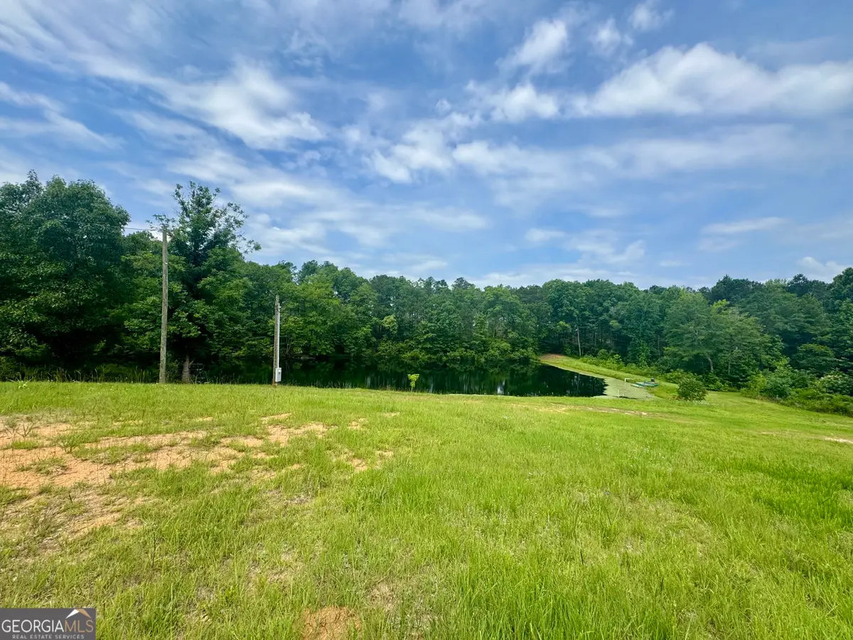 1207 Musella Road, Musella, GA 31066 - #1