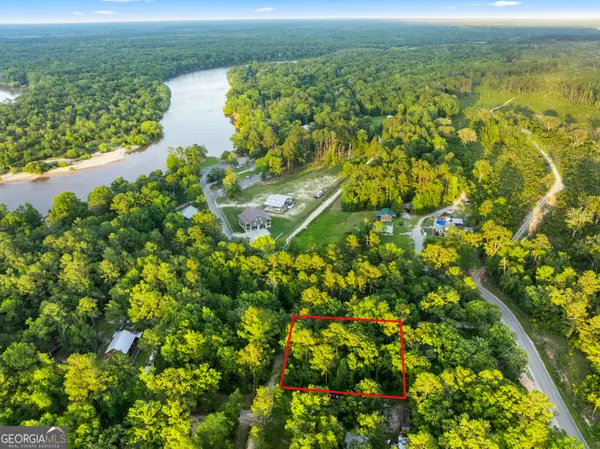0 River Loop Road, Baxley, GA 31513