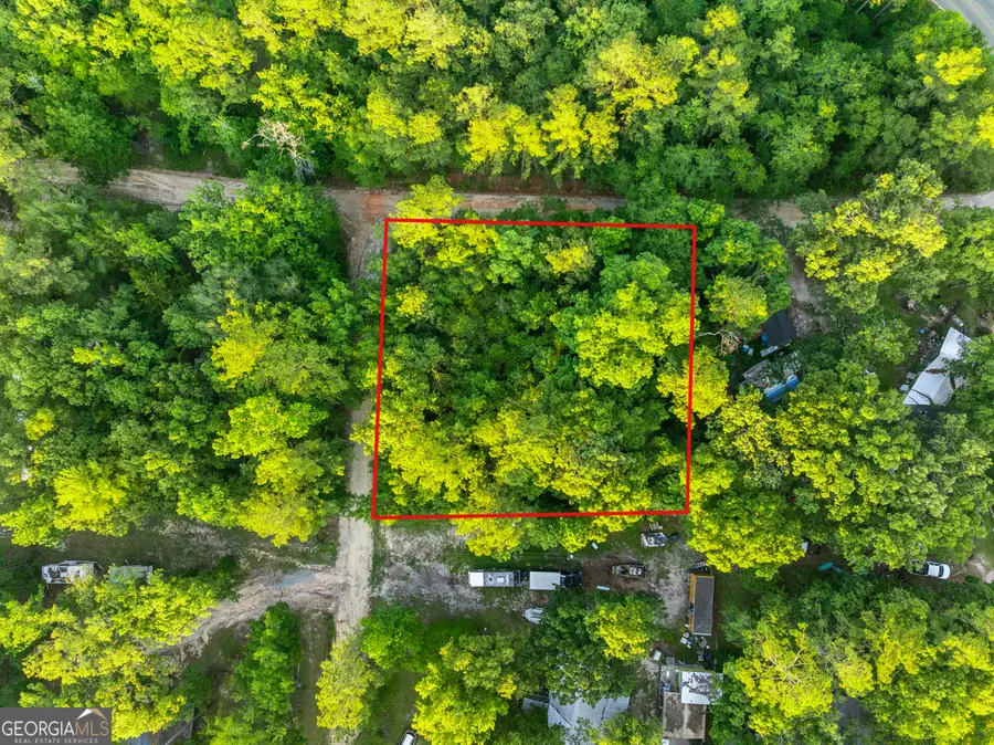 0 River Loop Road, Baxley, GA 31513 - #3