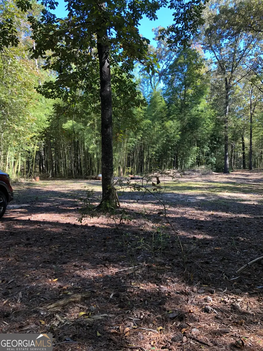 215 Webb Street, Warner Robins, GA 31093 - #3