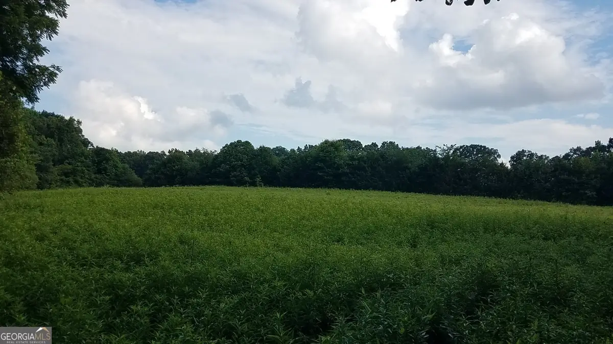 2411 Kesler Road, Carnesville, GA 30521 - #1