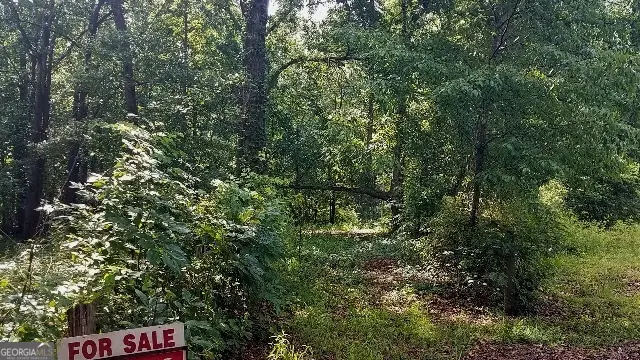 2411 Kesler Road, Carnesville, GA 30521 - #3
