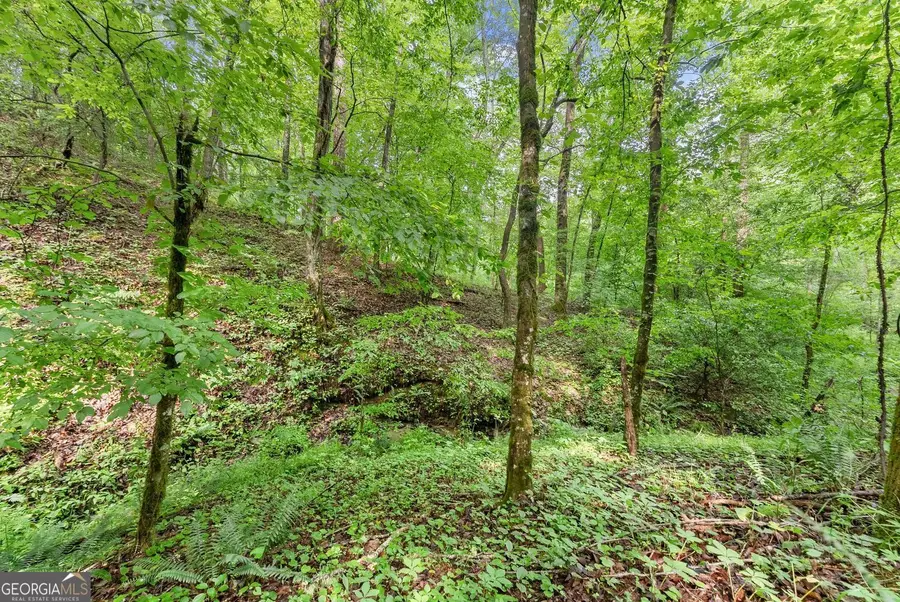 0 Long Branch Road, Dahlonega, GA 30533 - #3