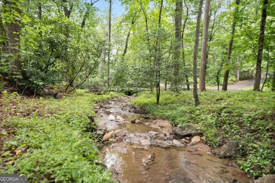 1130 Alpine Drive, Sautee Nacoochee, GA 30571 - #3