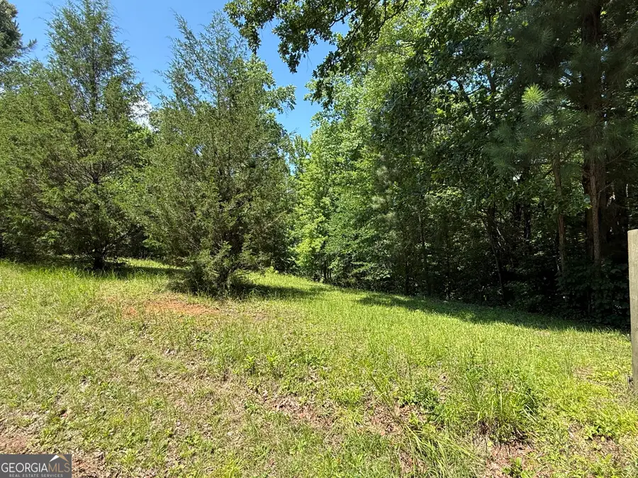 0 River Run Drive, Hogansville, GA 30230 - #2