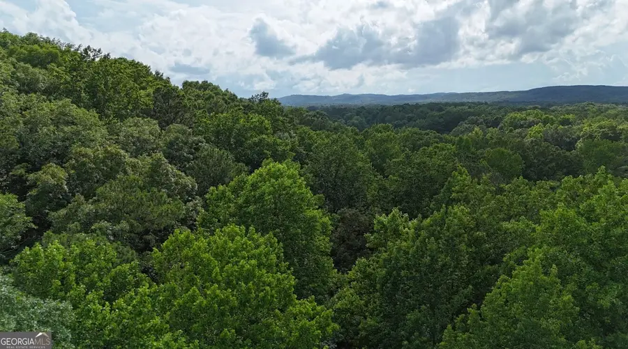 0 Forest Glen Road #UNIT A, Sylacauga, AL 35151 - #3