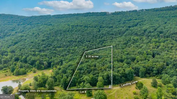 0 Newsome Gap Road, Rising Fawn, GA 30738