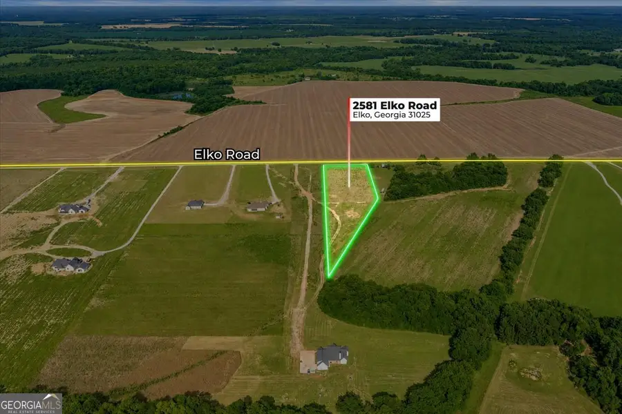 2581 Elko Road, Elko, GA 31025 - #3