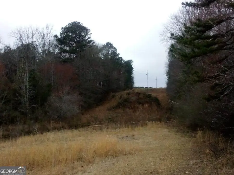 0 Old Woodbury Highway, Woodbury, GA 30293 - #2