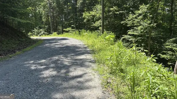 LT 781 Omen Circle, Ellijay, GA 30540