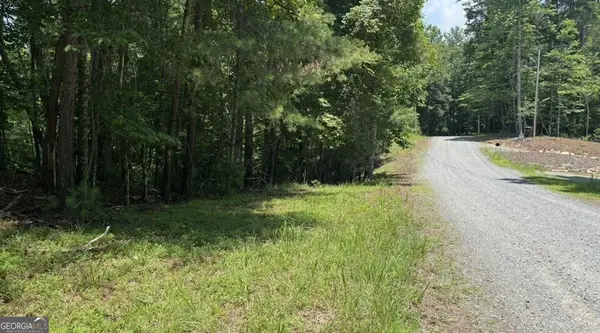 LT 3662 Hannah Court, Ellijay, GA 30540