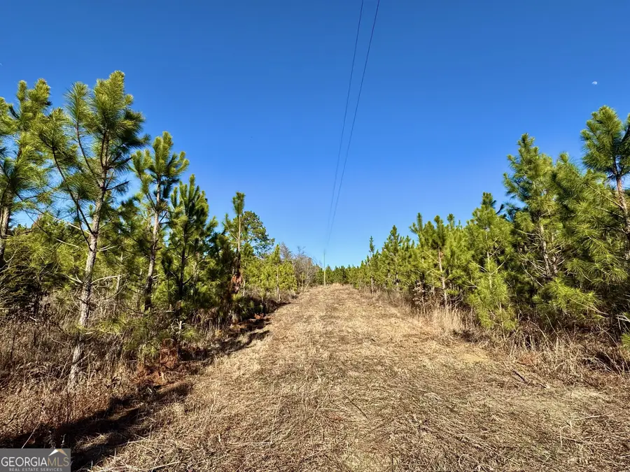 0 Mcdaniel Drive, Dexter, GA 31019 - #2
