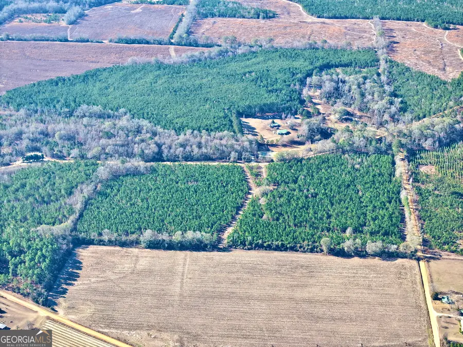 0 Mcdaniel Drive, Dexter, GA 31019 - #3