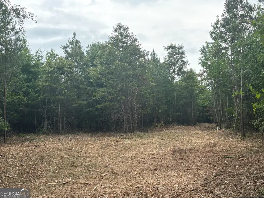 L1 Prosser Road, Sandersville, GA 31082 - #2