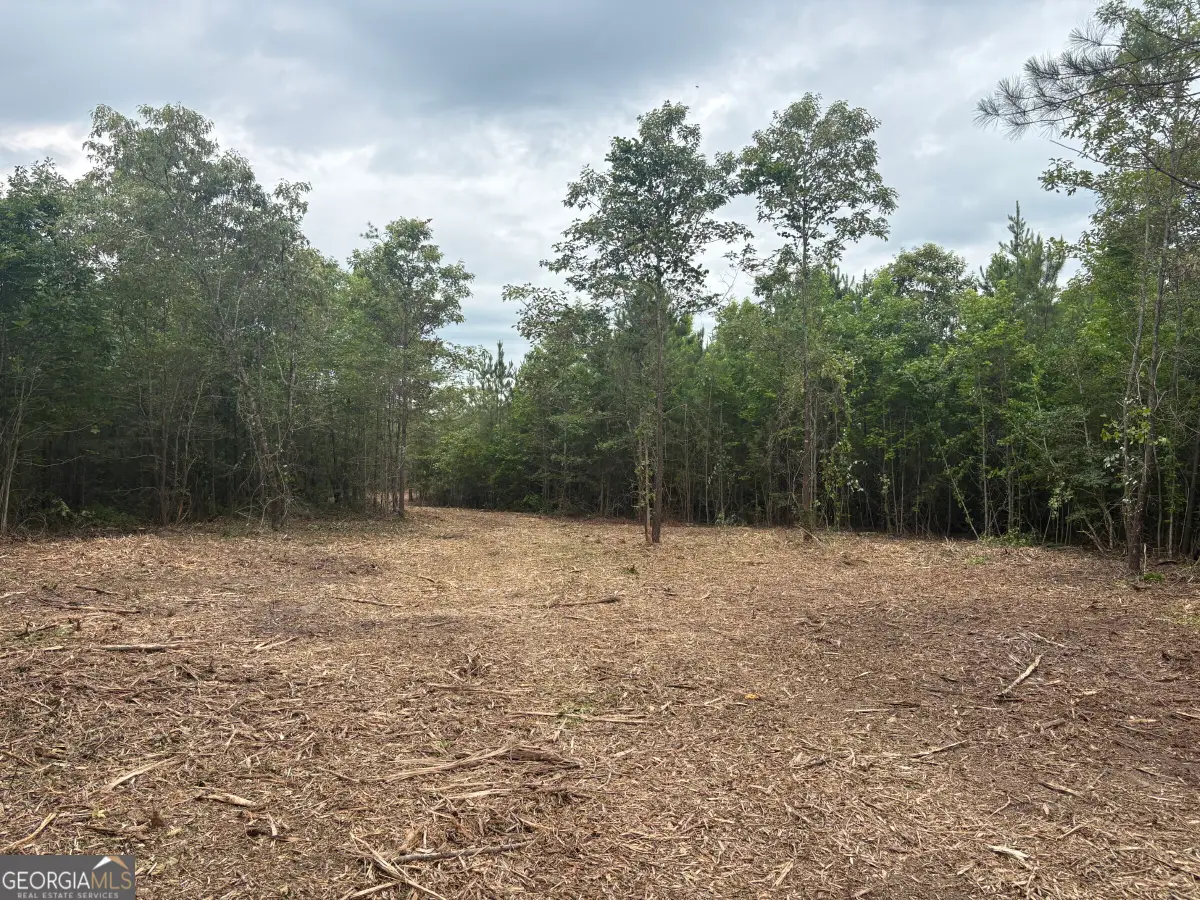 L4 Prosser Road, Sandersville, GA 31082 - #1