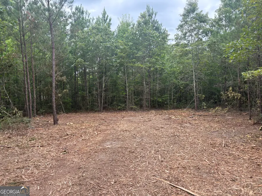 L4 Prosser Road, Sandersville, GA 31082 - #2