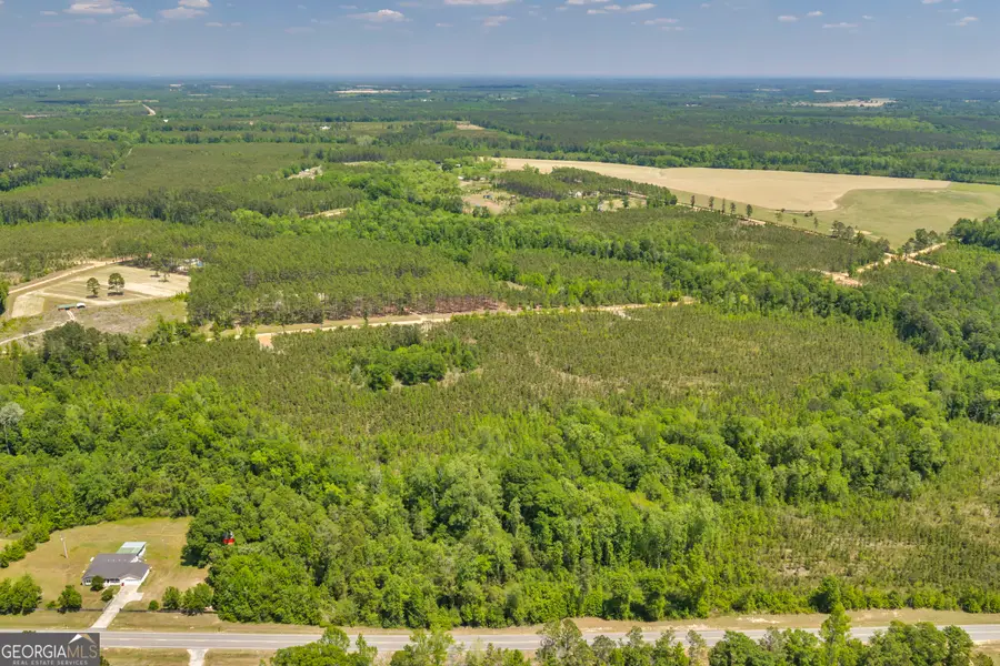 19 Hwy 126, Cadwell, GA 31009 - #2