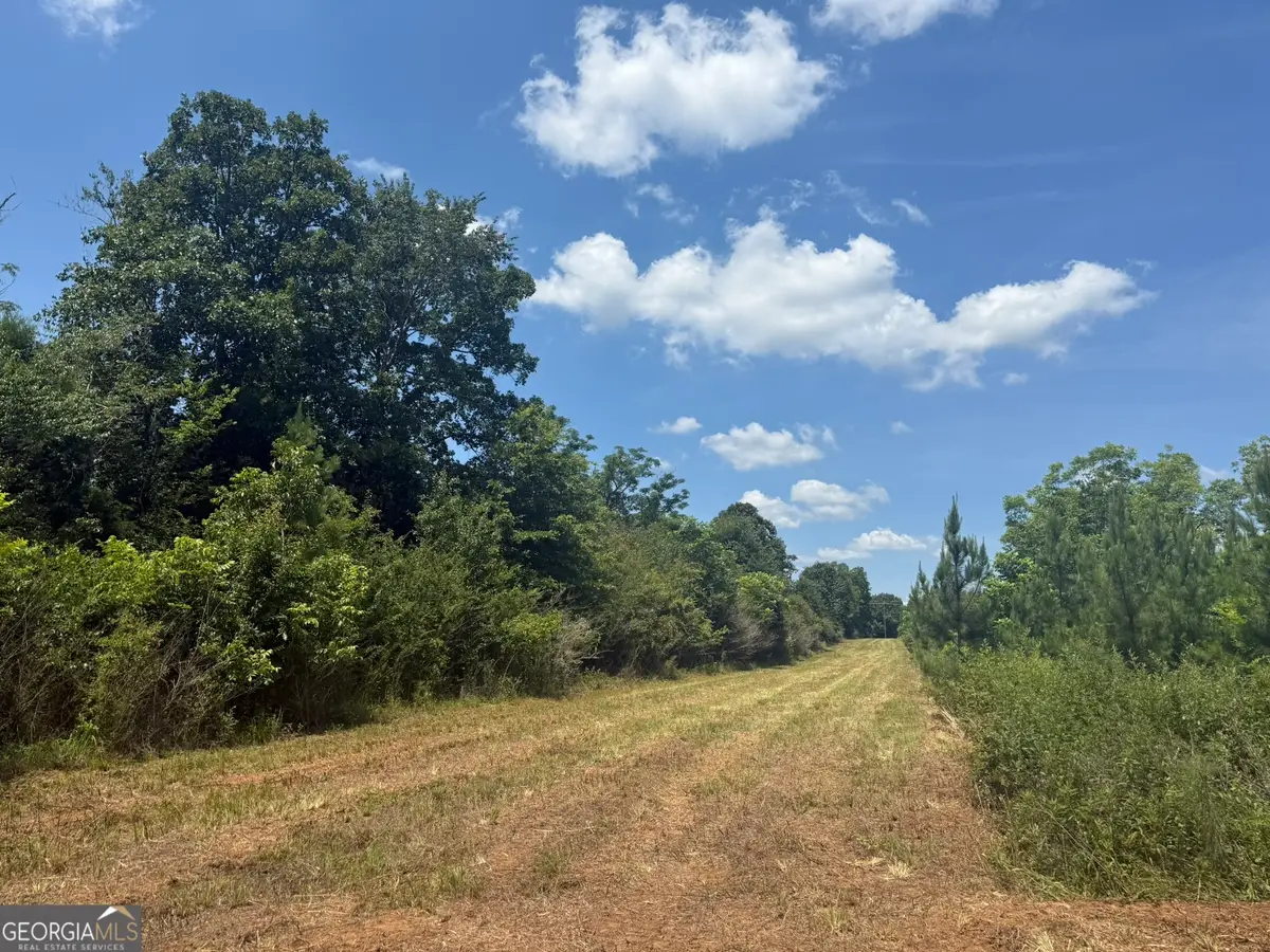 004 Fountain Bridge Road, Cuthbert, GA 39840 - #1
