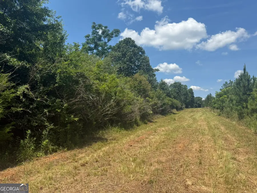 004 Fountain Bridge Road, Cuthbert, GA 39840 - #2