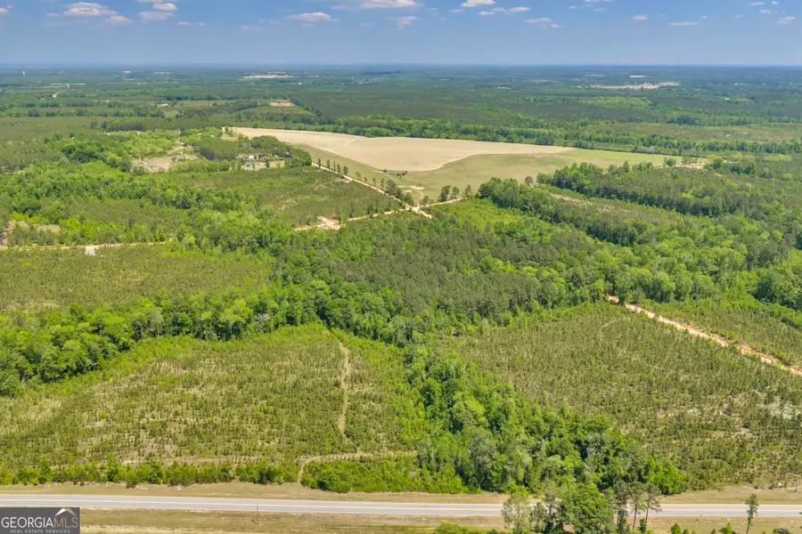 20 Hwy 126, Cadwell, GA 31009 - #2