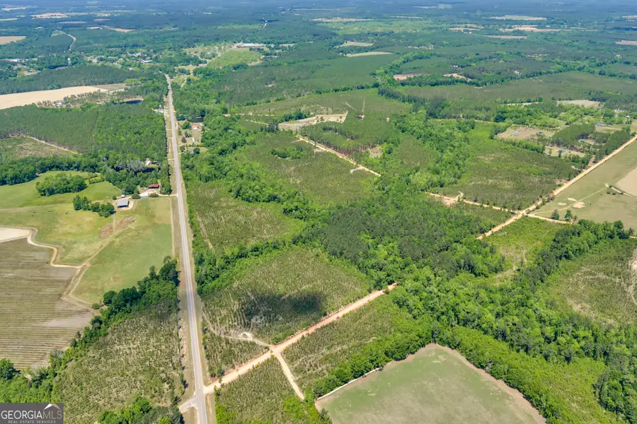 20 Hwy 126, Cadwell, GA 31009 - #3