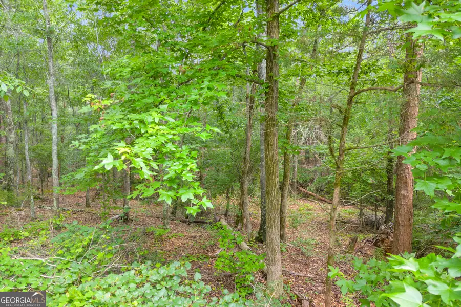 1655 Cleveland Road, Bogart, GA 30622 - #3
