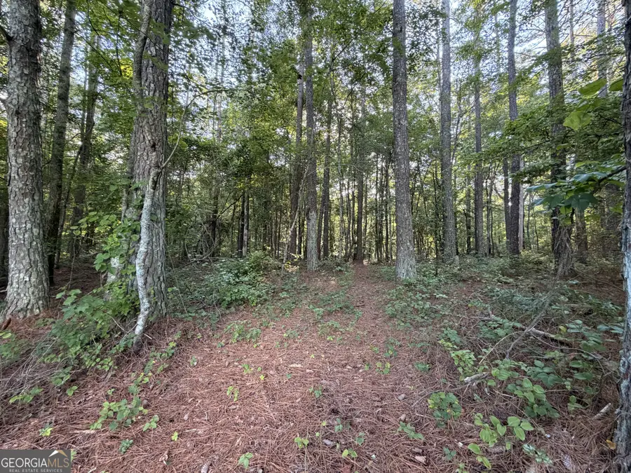 0 Wildcat Road, Buchanan, GA 30113 - #3