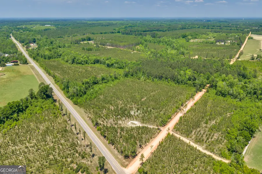 21 Hwy 126, Cadwell, GA 31009 - #2