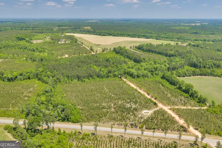 21 Hwy 126, Cadwell, GA 31009 - #3