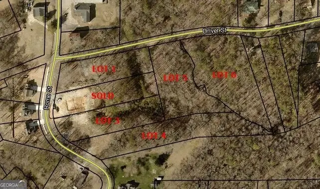 5 LOTS Rome St. & Driver St., Temple, GA 30179 - #2