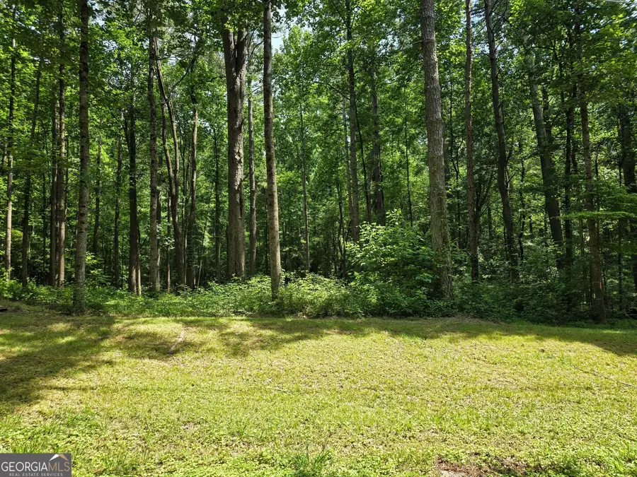5 LOTS Rome St. & Driver St., Temple, GA 30179 - #3