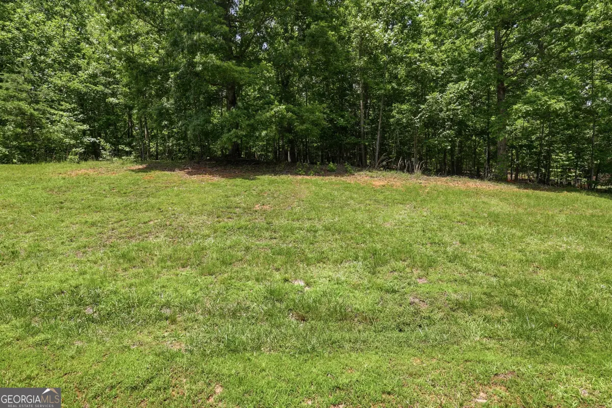 171 & 172 Laceola North Road, Cleveland, GA 30528 - #1