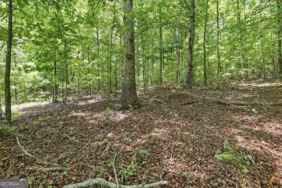 171 Laceola North Road, Cleveland, GA 30528 - #3