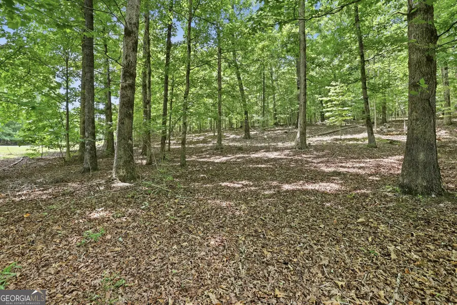 172 Laceola North Road, Cleveland, GA 30528 - #3