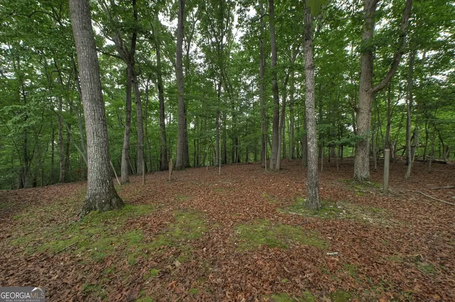 1076 Riverview Drive # 5654, Ellijay, GA 30540 - #2