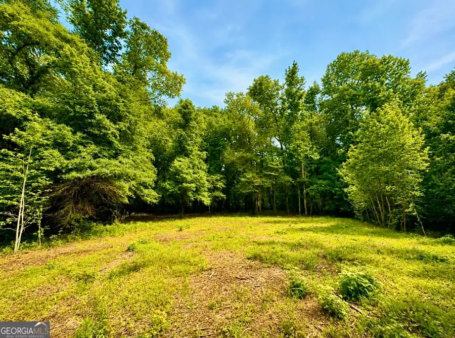 0 Rocky Creek Road, Thomaston, GA 30286 - #2