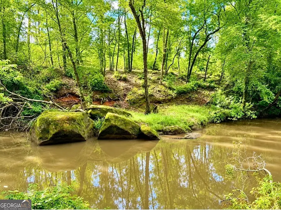 0 Rocky Creek Road, Thomaston, GA 30286 - #3