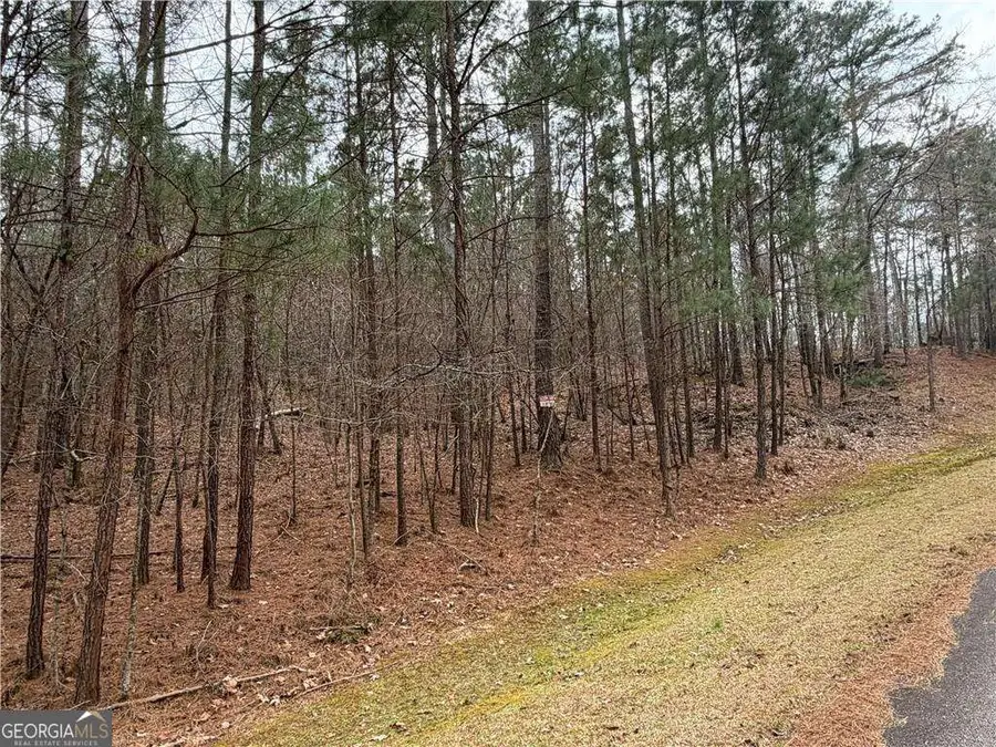 1700 Northwoods Drive, Greensboro, GA 30642 - #2