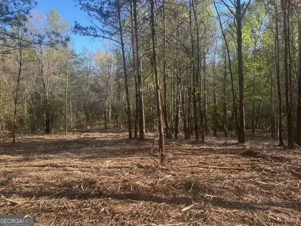 0 Lee Mashburn Road, Dahlonega, GA 30533