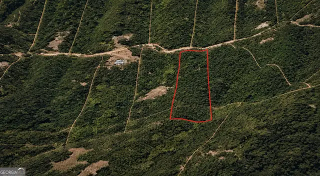 LOT 41 Wauka Ridge Road, Murrayville, GA 30564 - #1