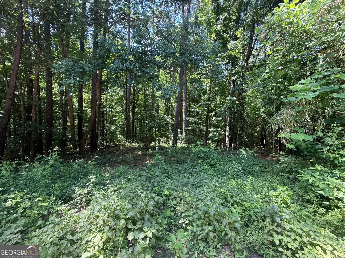 0 Heron Court, Monticello, GA 31064 - #1
