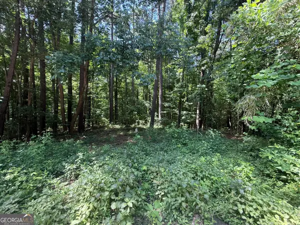 0 Heron Court, Monticello, GA 31064