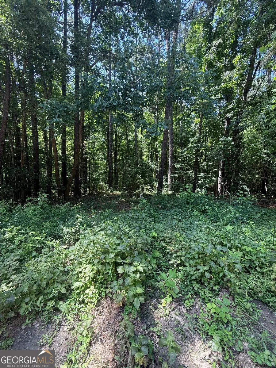 0 Heron Court, Monticello, GA 31064 - #2