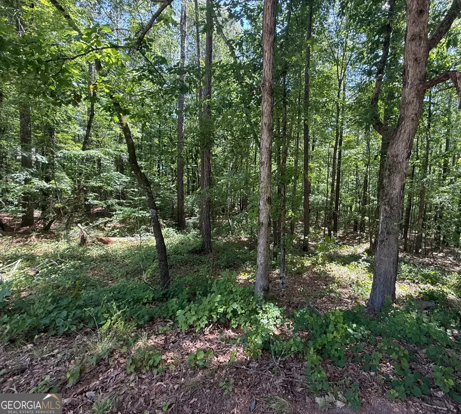 0 Oriole Circle, Monticello, GA 31064 - #2