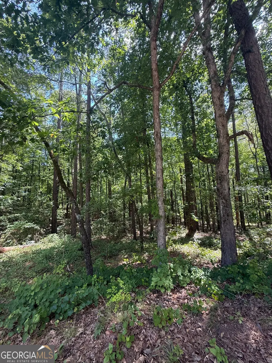 0 Oriole Circle, Monticello, GA 31064 - #3