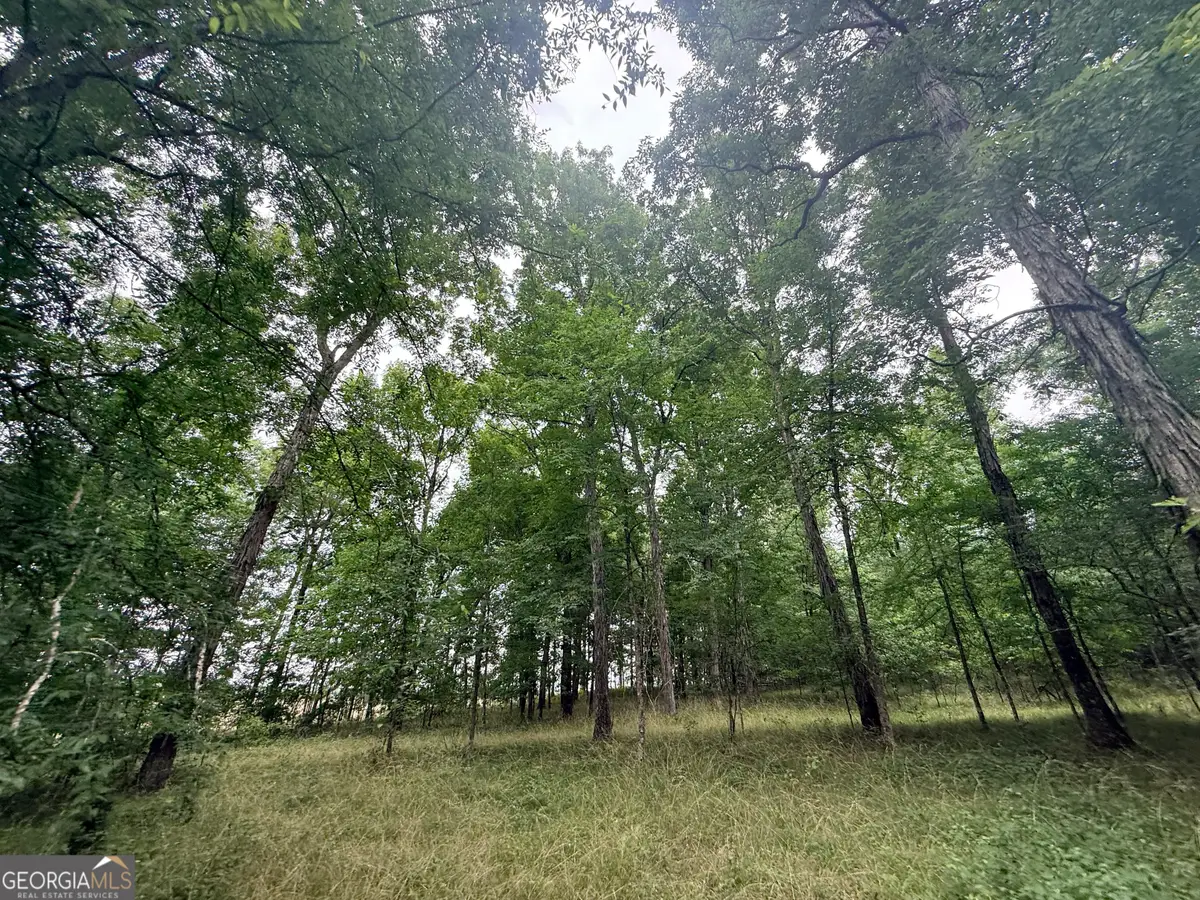 1 Bethesda Church Road, Lexington, GA 30648 - #1